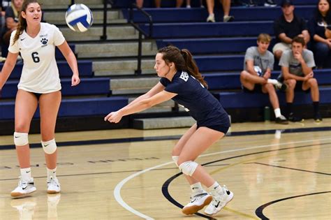 penn state behrend women's volleyball